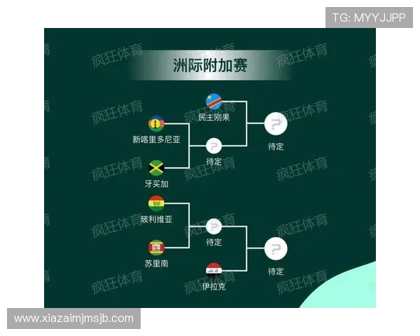 2026年世界杯附加赛资格争夺详细流程与晋级条件全解