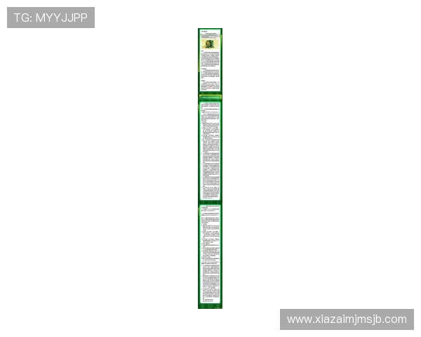 2026年世界杯门票官网购票流程优化建议及用户体验提升方案
