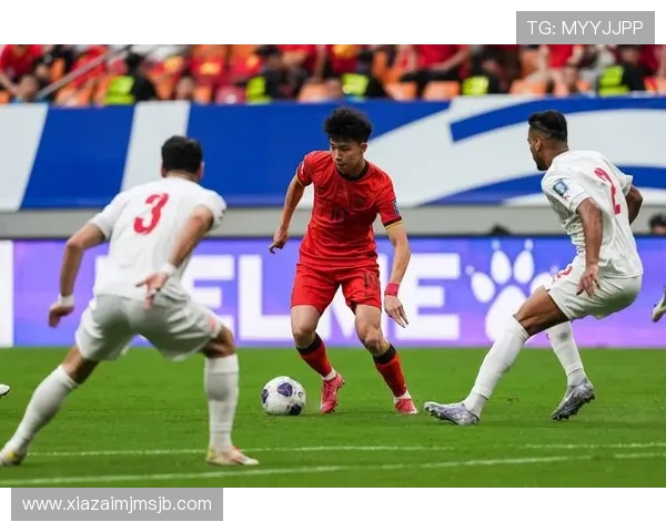 申办世界杯的风险评估与应对措施全面解析确保申办过程中的突发事件应对方案